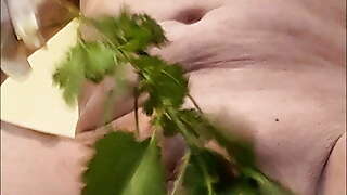 Nettles (part two)