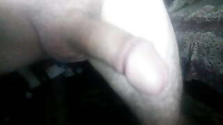 falos