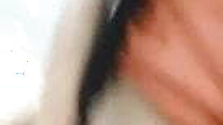 DASI BOOLS
