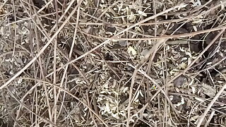 Indian Couple Outdoor Sex In A Jungle Deep Forest